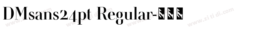 DMsans24pt Regular字体转换